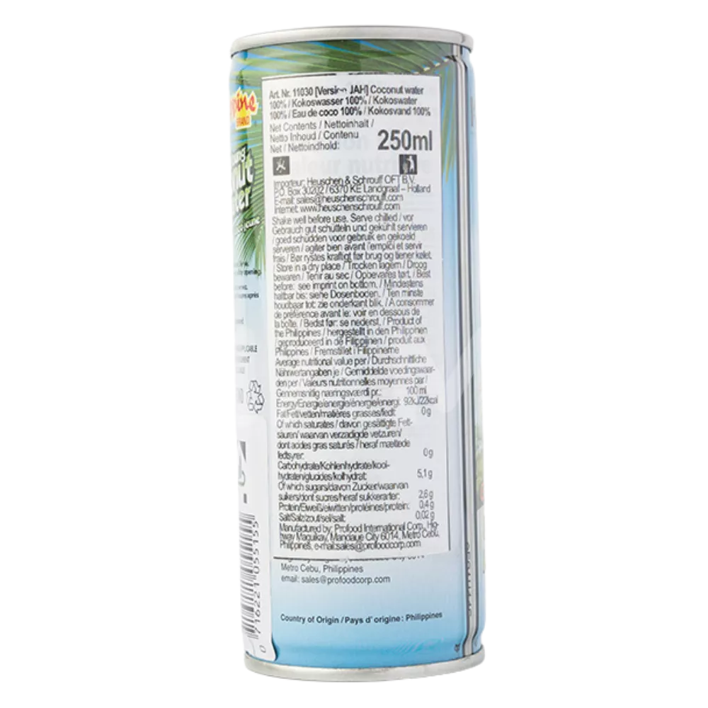 PHILIPPINE BRAND Kokoswasser Ds 250ML