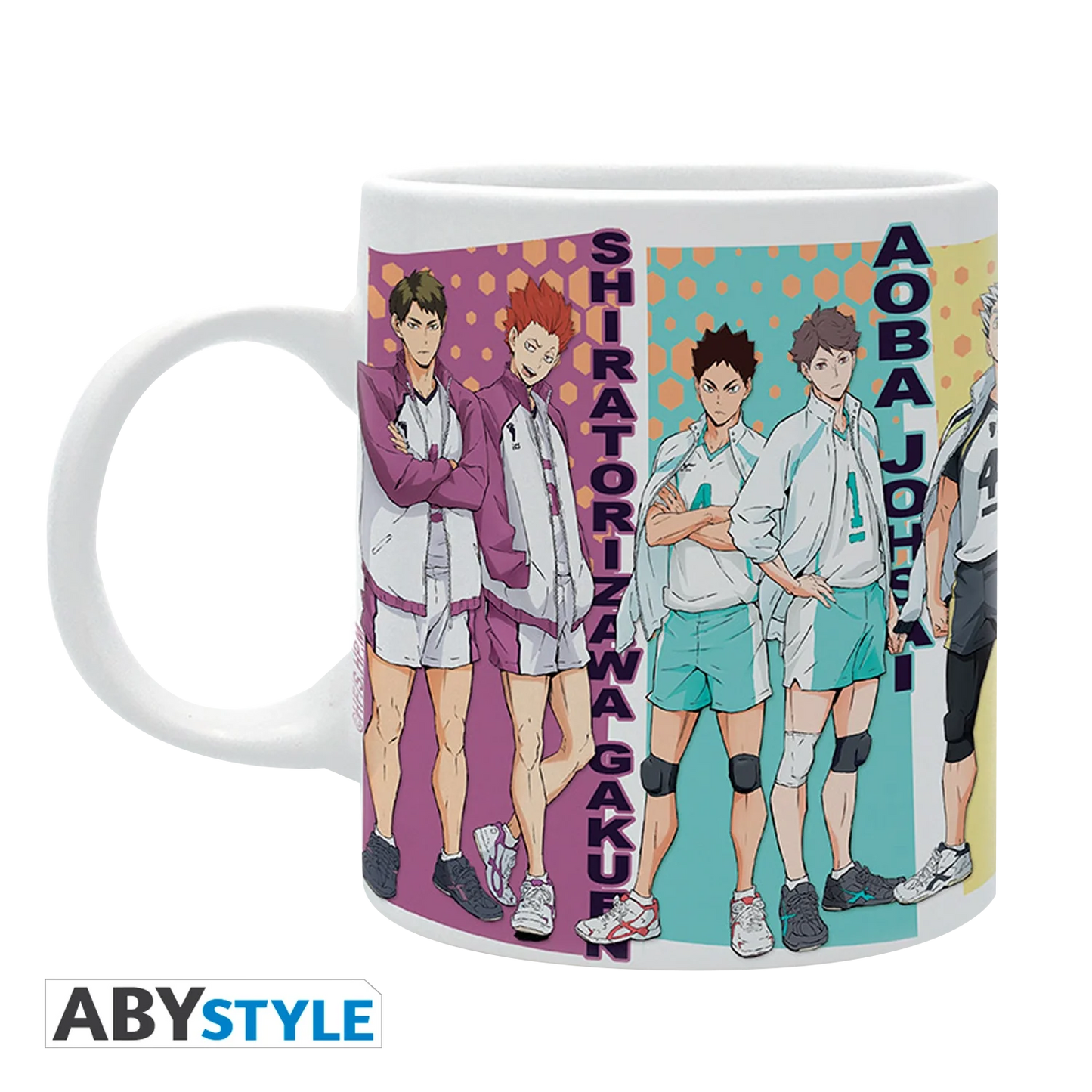 HAIKYU! Mug 320ML Rival Teams